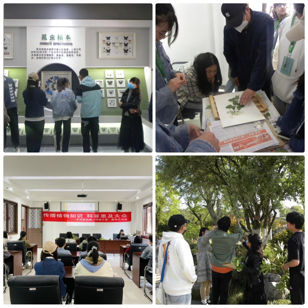 伟德体育组织员工赴宝鸡市植物园参观学习 伟德体育组织员工赴宝鸡市植物园参观学习